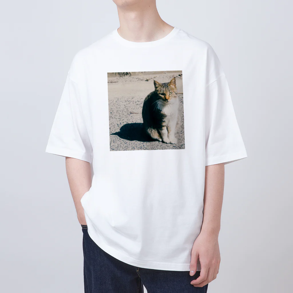 ハネ(🦄)のねこ猫ネコ オーバーサイズTシャツ