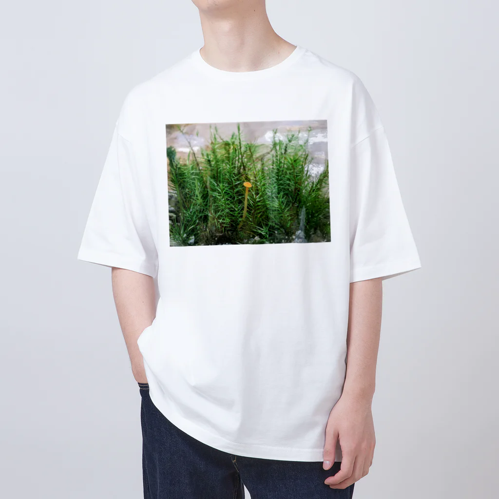 アトリエWindwingのキノコと苔テラリウム Oversized T-Shirt