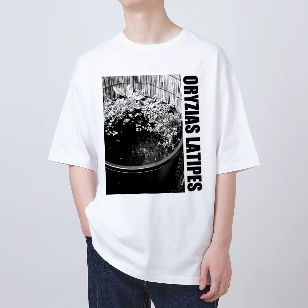 媛めだか公式オリジナルグッズのORYZIAS LATIPES オーバーサイズTシャツ