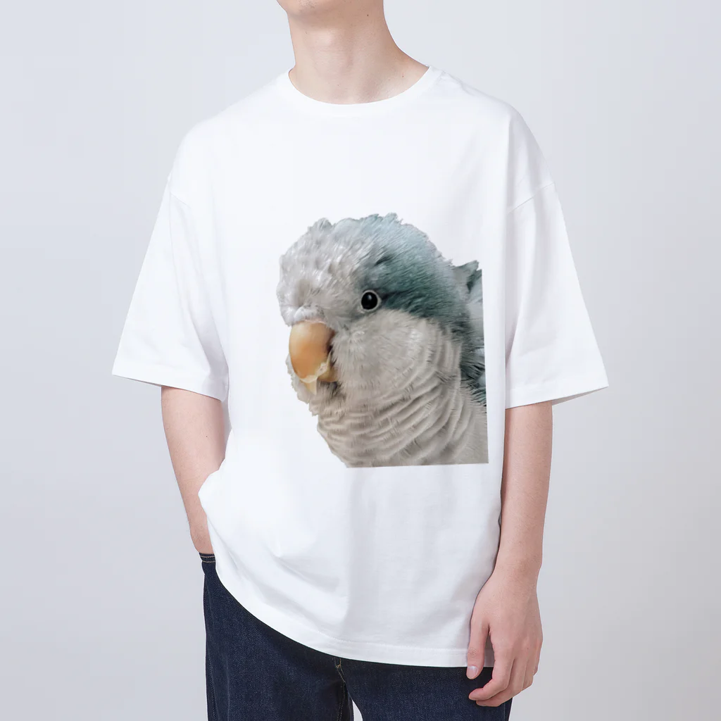 marinco729のオキナインコの海砂利 オーバーサイズTシャツ