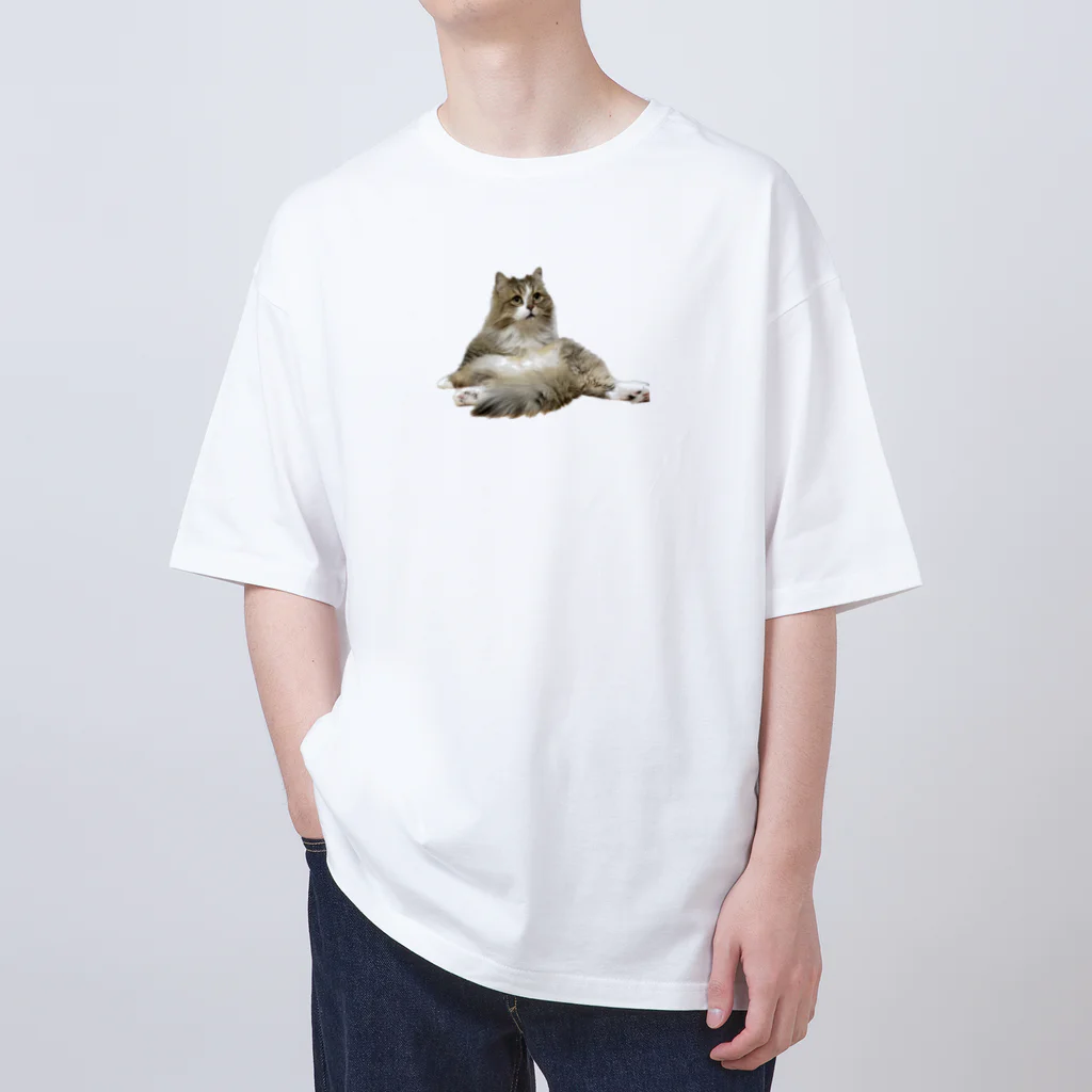 onarisanちのにゃんこたちのおすわりこむにゃんこ オーバーサイズTシャツ