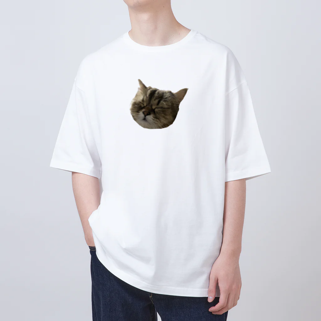 onarisanちのにゃんこたちのつんこのむーーーん Oversized T-Shirt