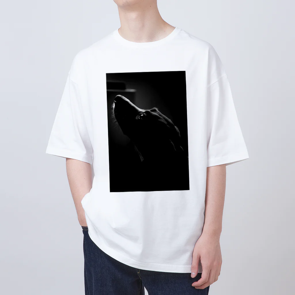 Seiya Hinataのアートネリコ2 Oversized T-Shirt