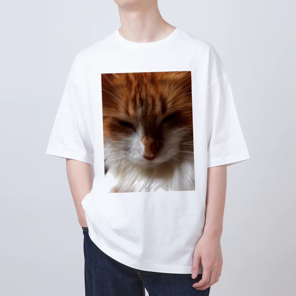 30002500の狸寝入りの術🐈 オーバーサイズTシャツ