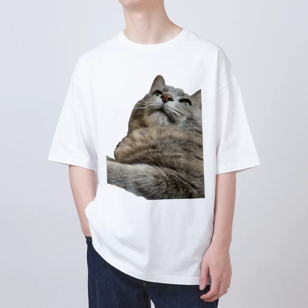 グレージュ猫ロッタン🐈‍⬛のよそ見ロッタン Oversized T-Shirt