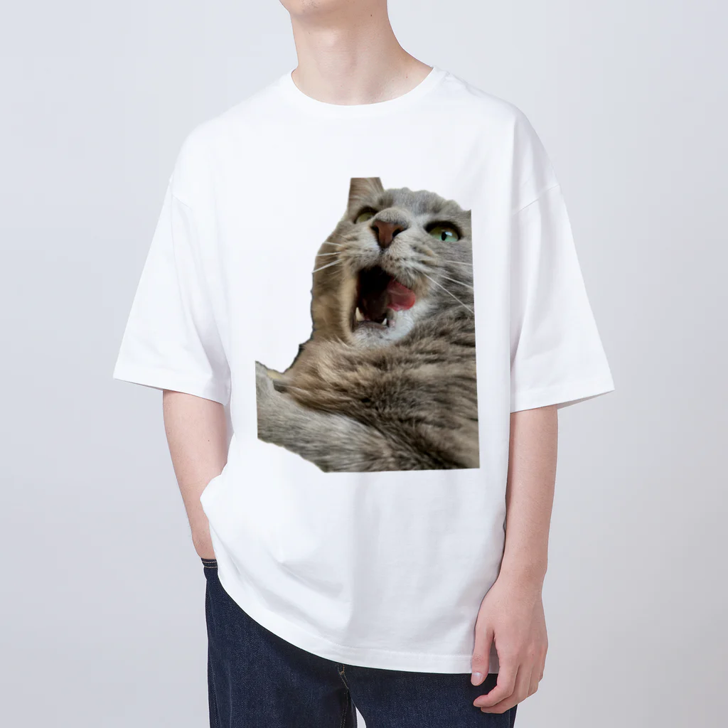 グレージュ猫ロッタン🐈‍⬛のあくびロッタン オーバーサイズTシャツ