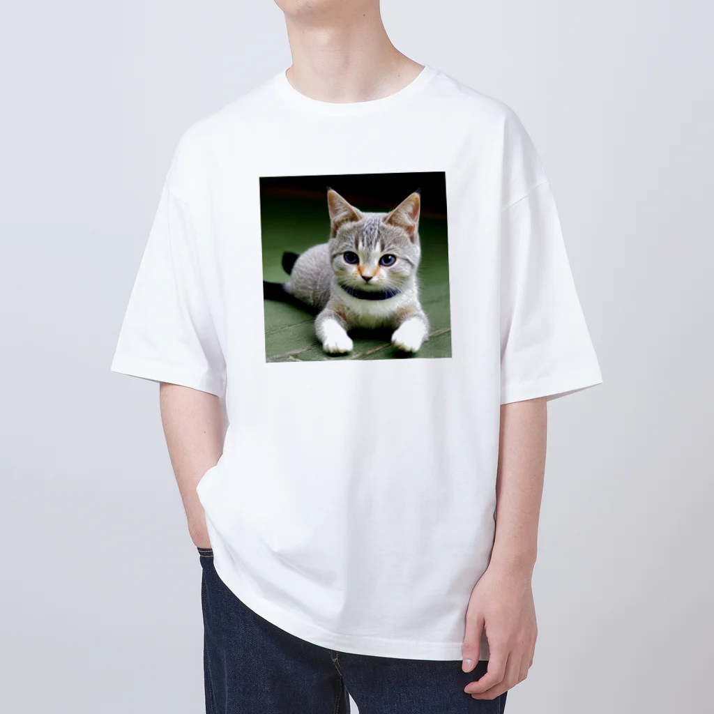 フリーダムの座る猫 オーバーサイズTシャツ