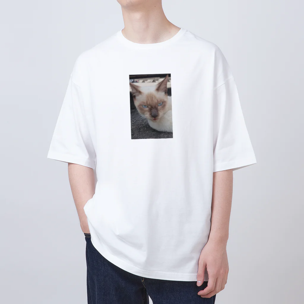 Makoto_Kawano Designの悪そうなのにカワイイ猫ちゃん オーバーサイズTシャツ