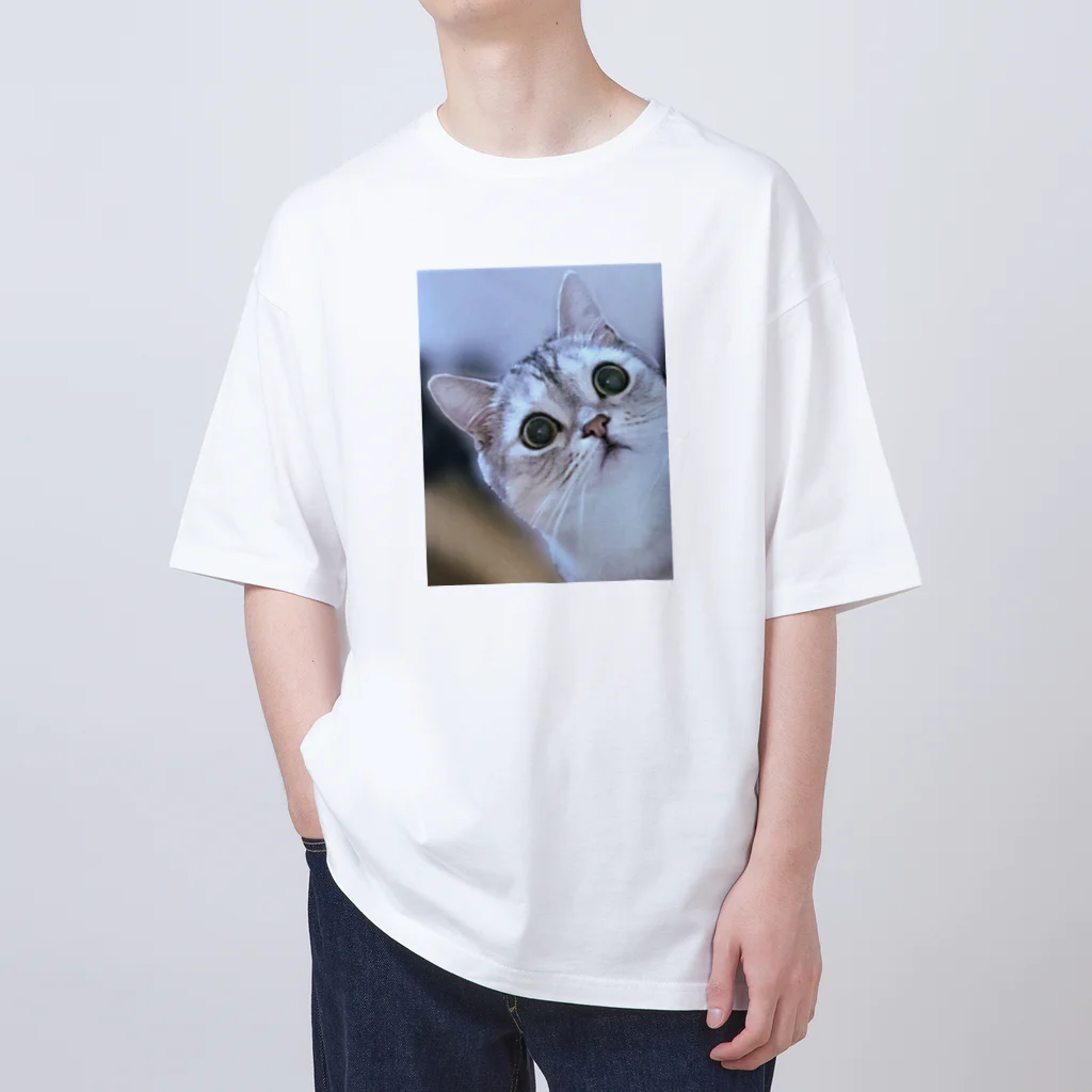 レオロンSHOPの猫の名前はレオ オーバーサイズTシャツ