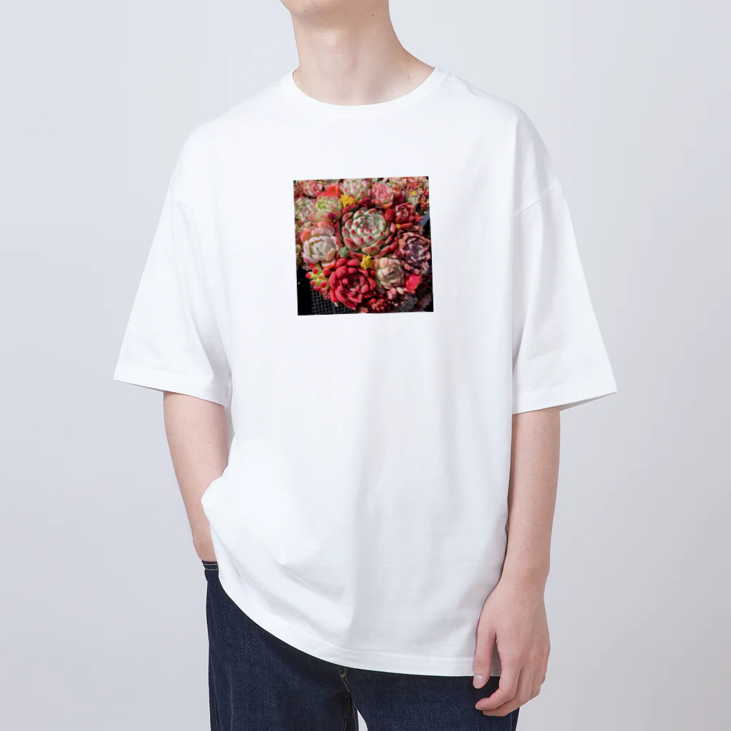 Echeveria_Masterの華やかなエケベリア オーバーサイズTシャツ