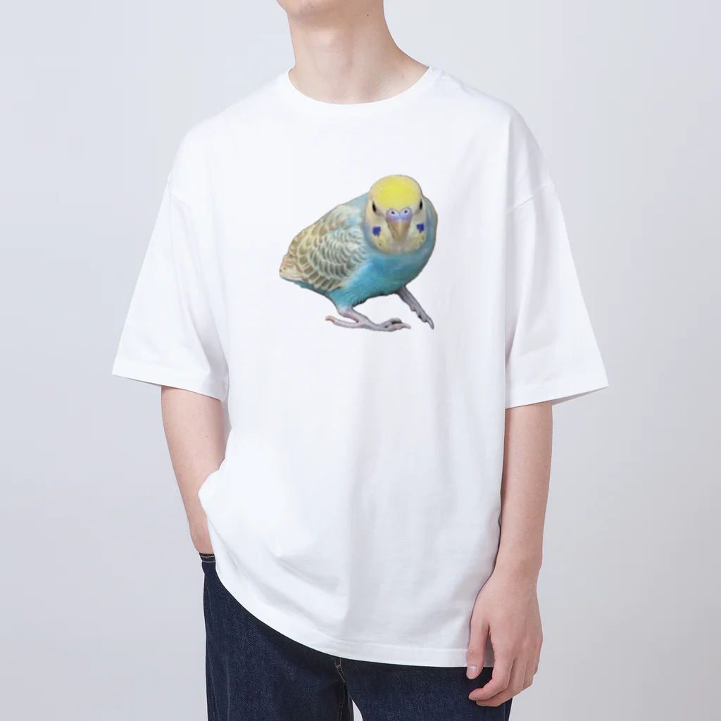 garapagos インコイングッズの癒しインコ Oversized T-Shirt