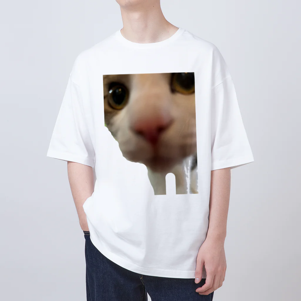 いやし猫　ふぁにーきゃっとのいやし猫　無限ちゃん オーバーサイズTシャツ