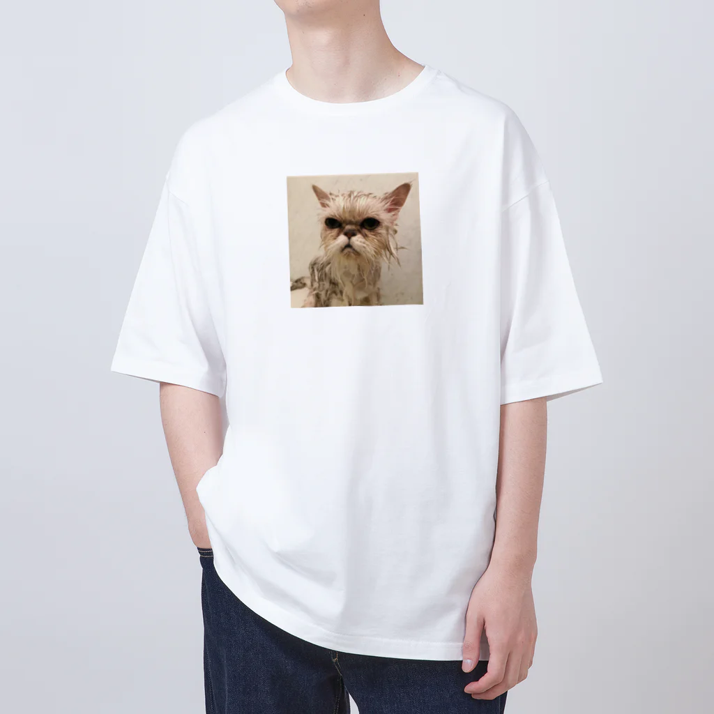 morupandaのチンチラ猫のリリィちゃん オーバーサイズTシャツ