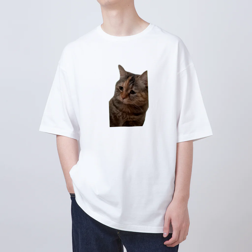 猫ミームグッズの【猫ミーム】叱られる猫 オーバーサイズTシャツ