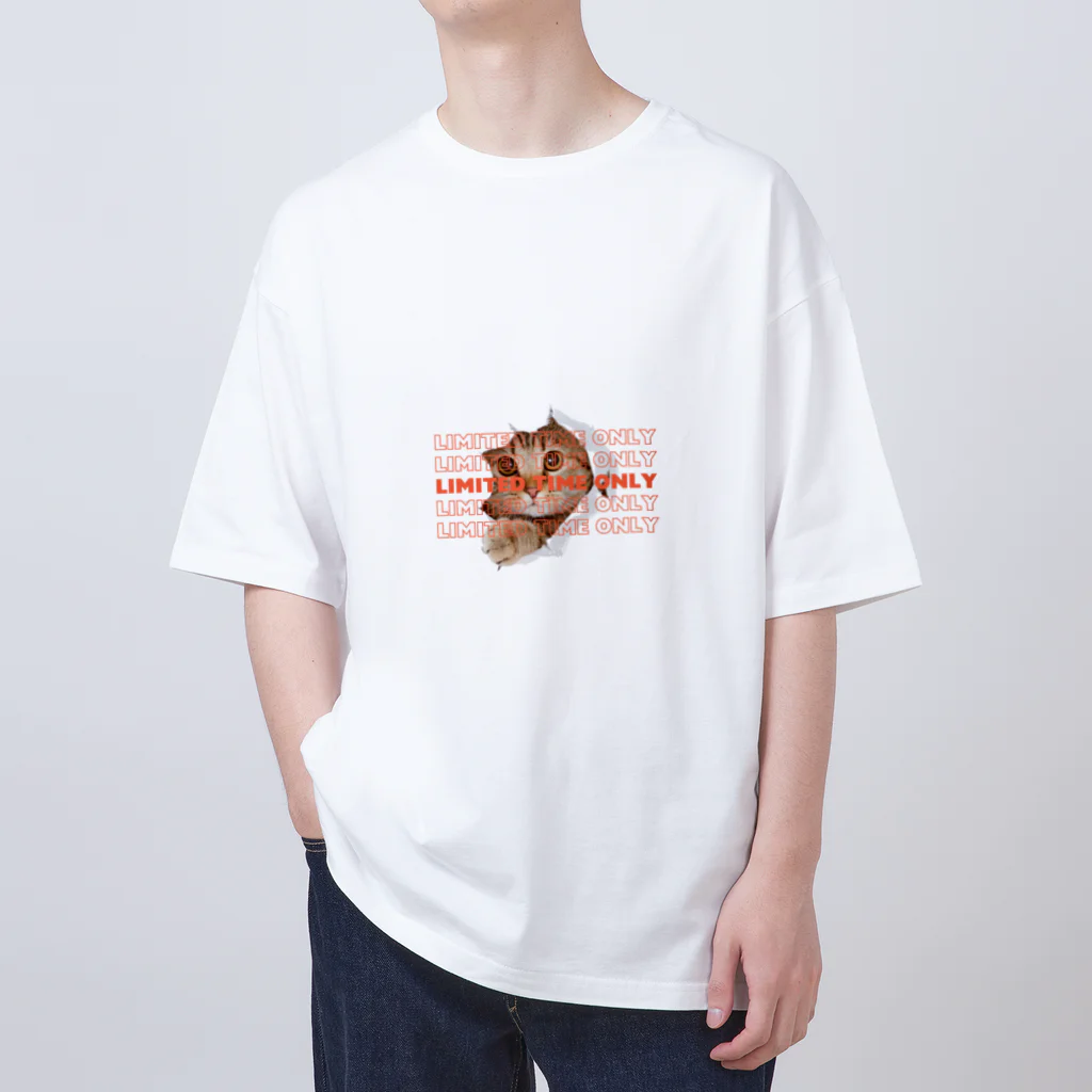 Holidayの猫 オーバーサイズTシャツ