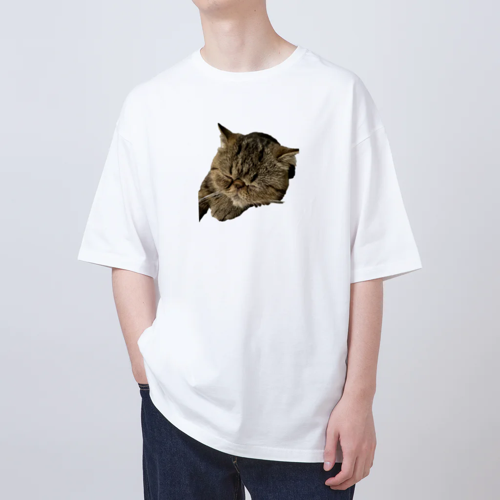 すりるもんすたぁのきちょうのおひるね Oversized T-Shirt