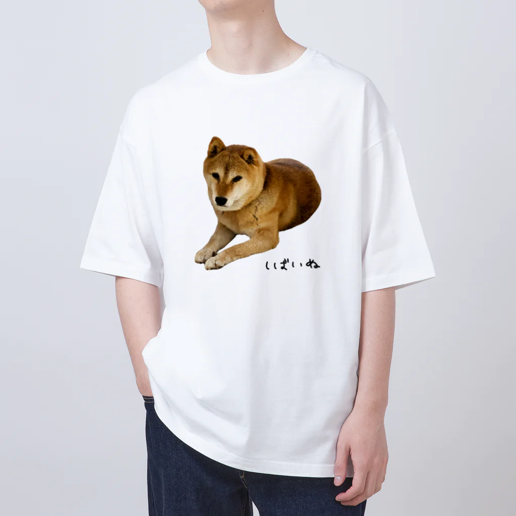 柴犬しばわんこhana873の伏せ？してる柴犬さん オーバーサイズTシャツ