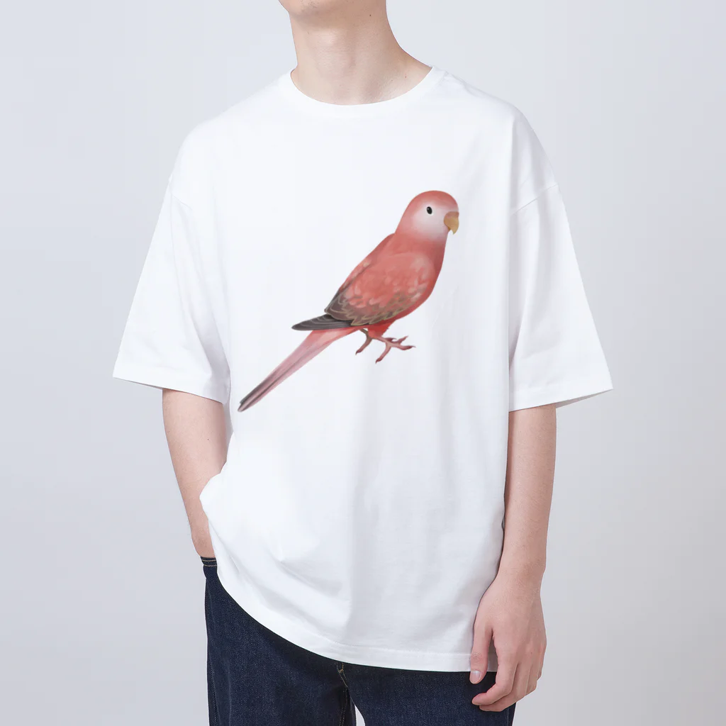 まめるりはことりのアキクサインコ　ピンク【まめるりはことり】 オーバーサイズTシャツ