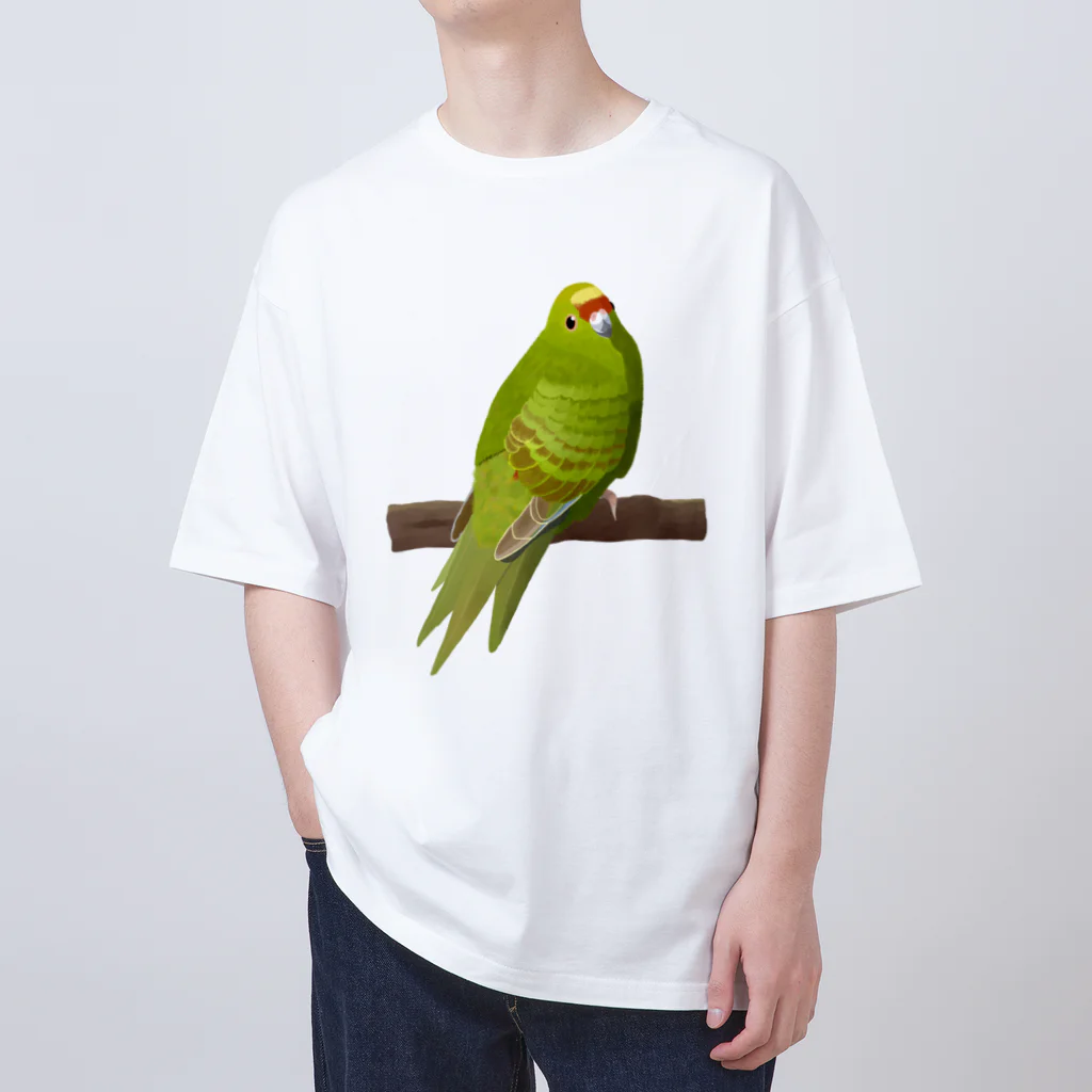 街のいろどりのキガシラアオハシインコ(前面プリント) オーバーサイズTシャツ