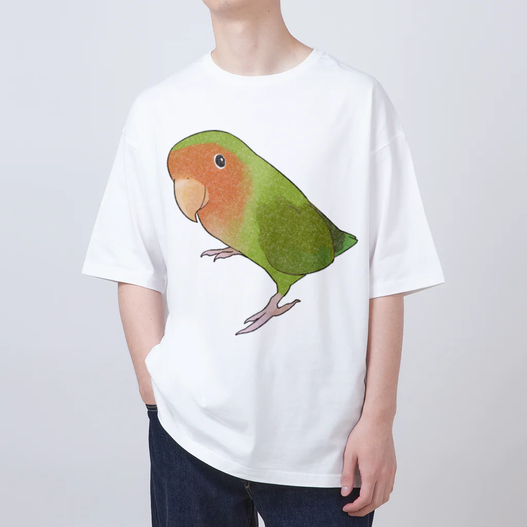 まめるりはことりの見つめるコザクラインコちゃん【まめるりはことり】 オーバーサイズTシャツ