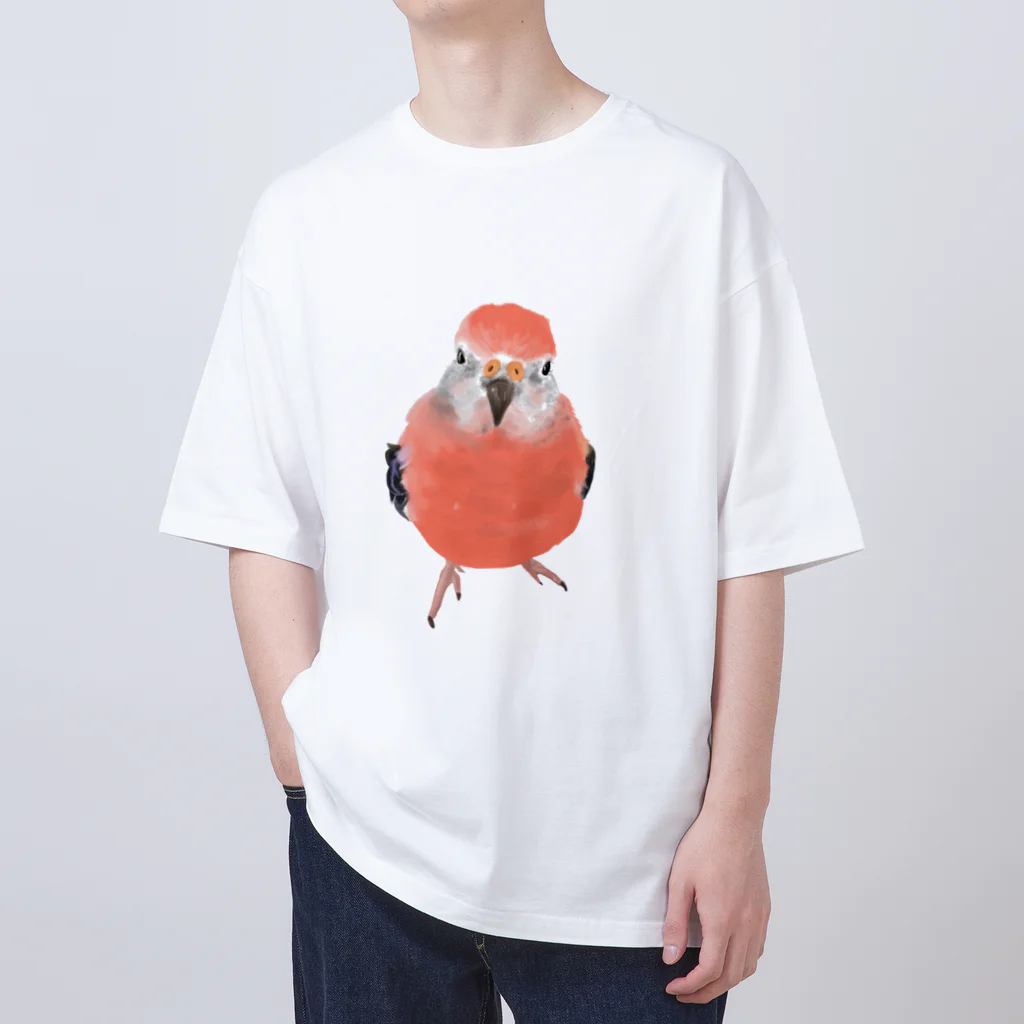 アキクサインコとウロコインコのアキクサインコ オーバーサイズTシャツ