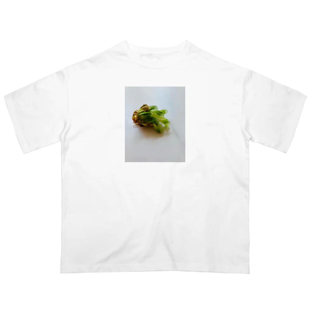 モカちゃんのサバイバー多肉 オーバーサイズTシャツ