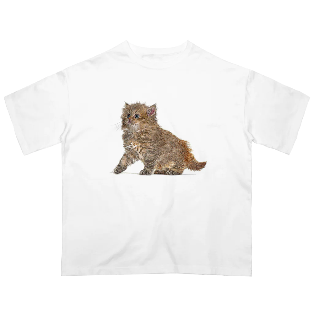 【CPPAS】Custom Pet Portrait Art Studioの可愛いブリティッシュロングヘアの子猫 オーバーサイズTシャツ