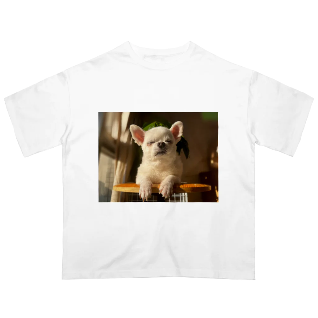 いぬいぬいぬの老犬は世界で一番素晴らしい Oversized T-Shirt