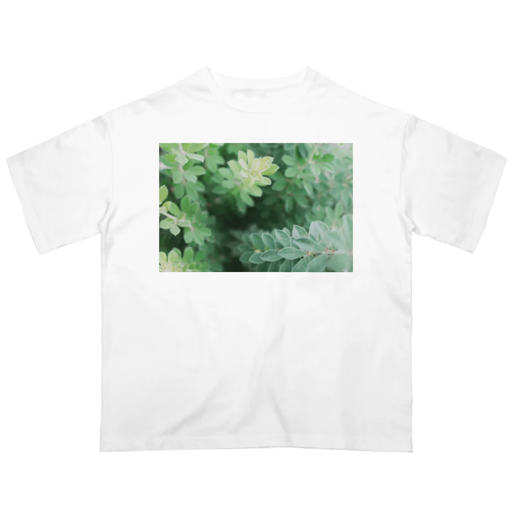 TATTUの花壇の植物 オーバーサイズTシャツ