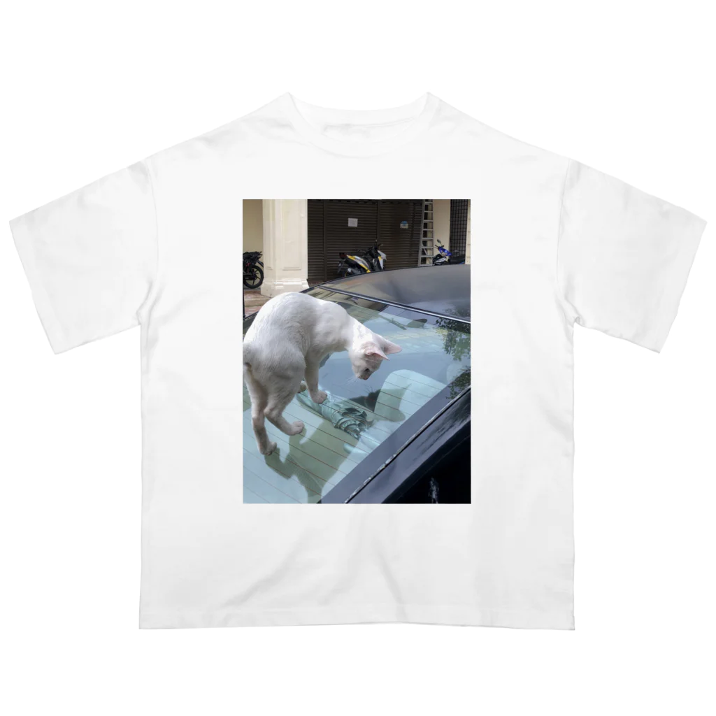 neko2424のアジアの街猫-のぞき見猫 オーバーサイズTシャツ