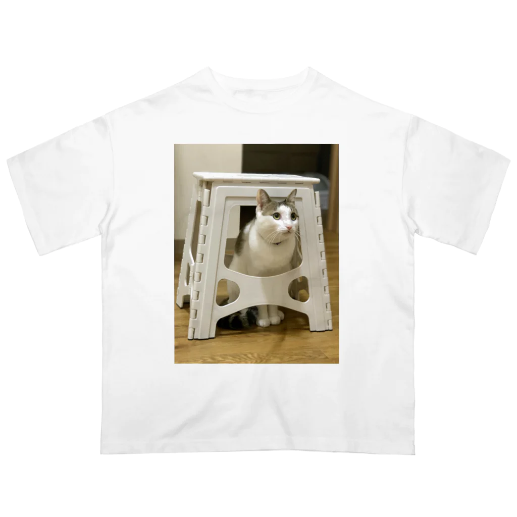 飴色の猫のテオ(かくれてるつもり) オーバーサイズTシャツ