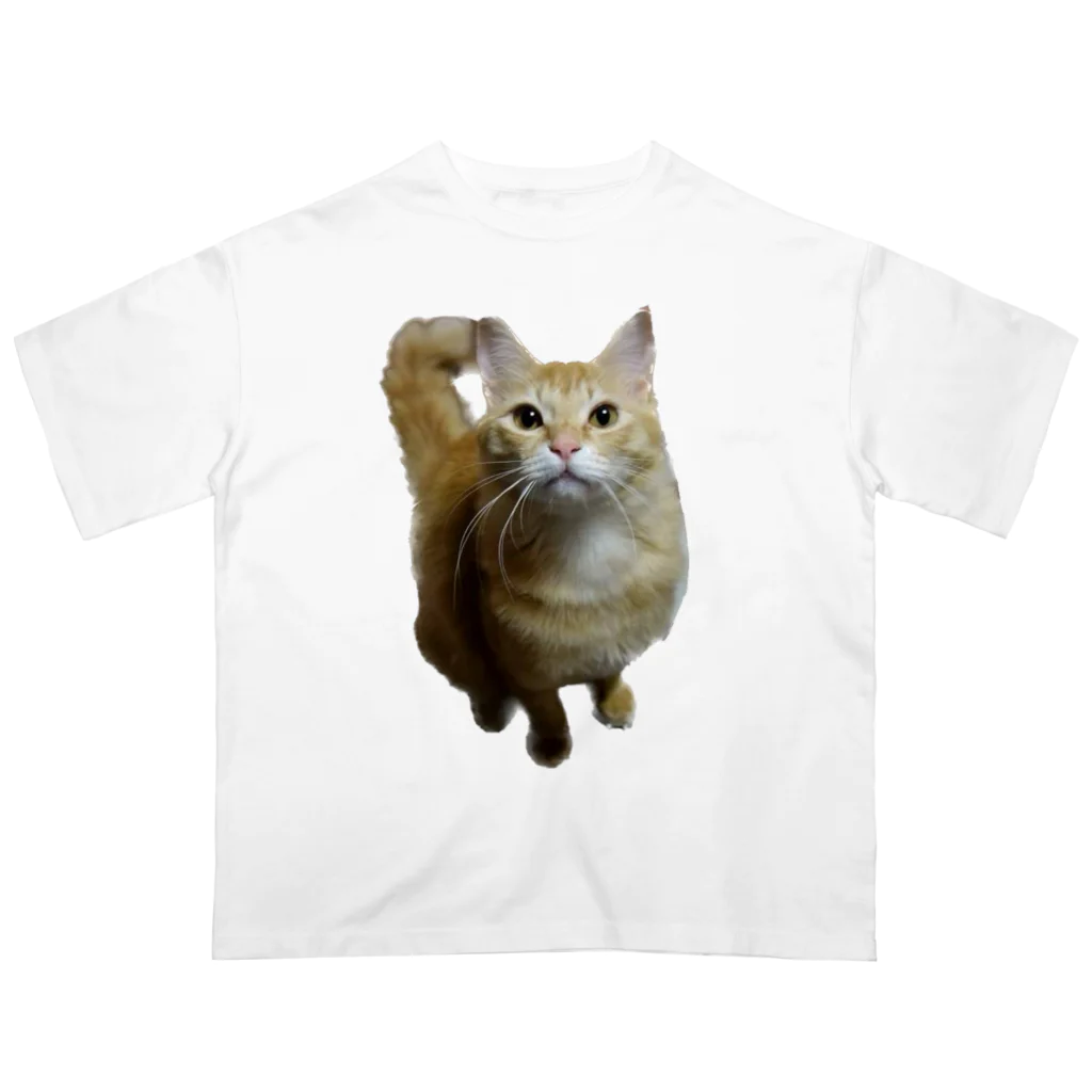 トロールショップの我が家のお猫様が見てます(笑) オーバーサイズTシャツ