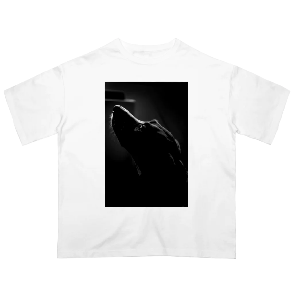 Seiya Hinataのアートネリコ2 Oversized T-Shirt