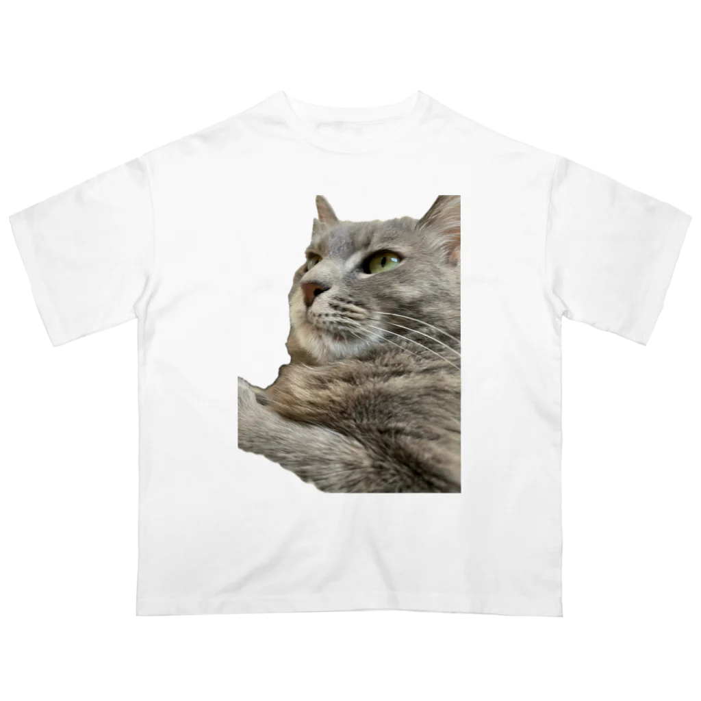 グレージュ猫ロッタン🐈‍⬛の緊張ロッタン オーバーサイズTシャツ