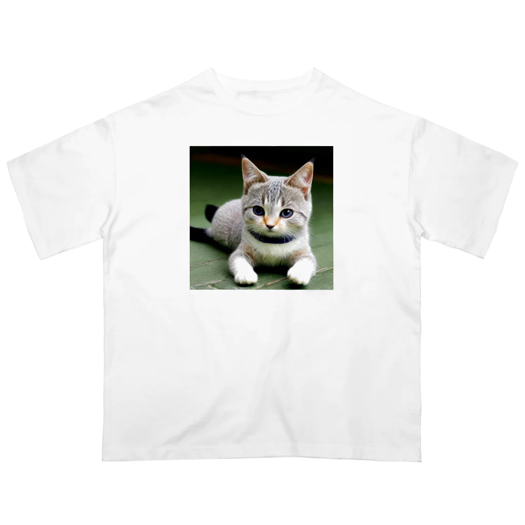 フリーダムの座る猫 オーバーサイズTシャツ
