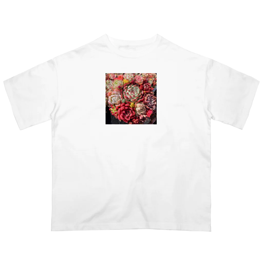 Echeveria_Masterの華やかなエケベリア オーバーサイズTシャツ