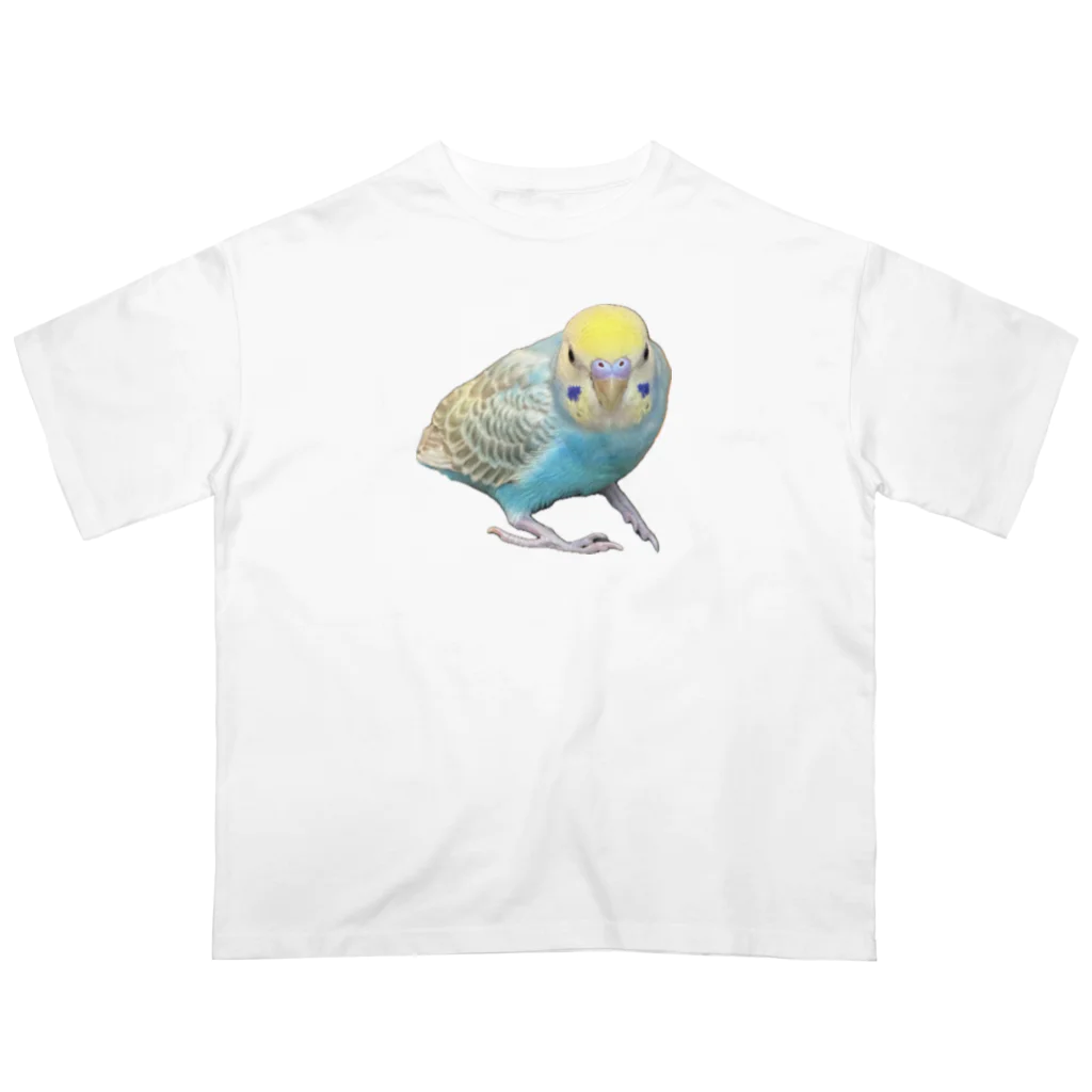 garapagos インコイングッズの癒しインコ Oversized T-Shirt