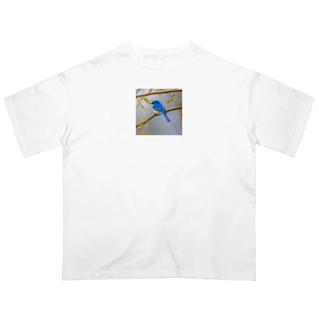 DROOMの自然と蒼い鳥 オーバーサイズTシャツ