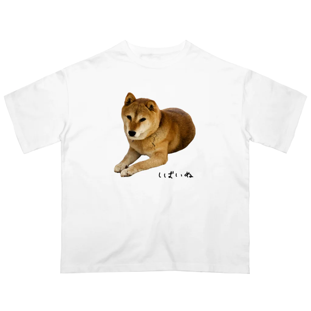 柴犬しばわんこhana873の伏せ？してる柴犬さん オーバーサイズTシャツ