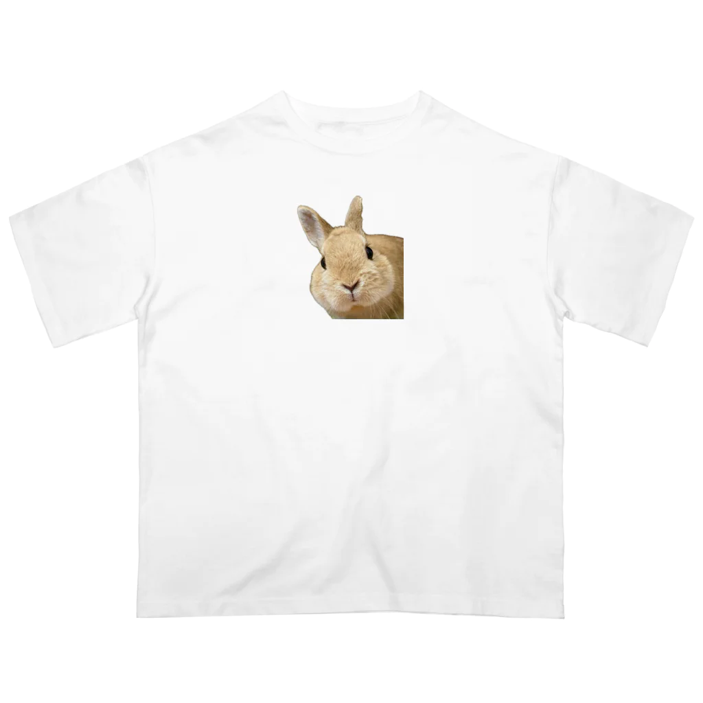 みぃ♪ のぼくとちくん🌻🩵 オーバーサイズTシャツ