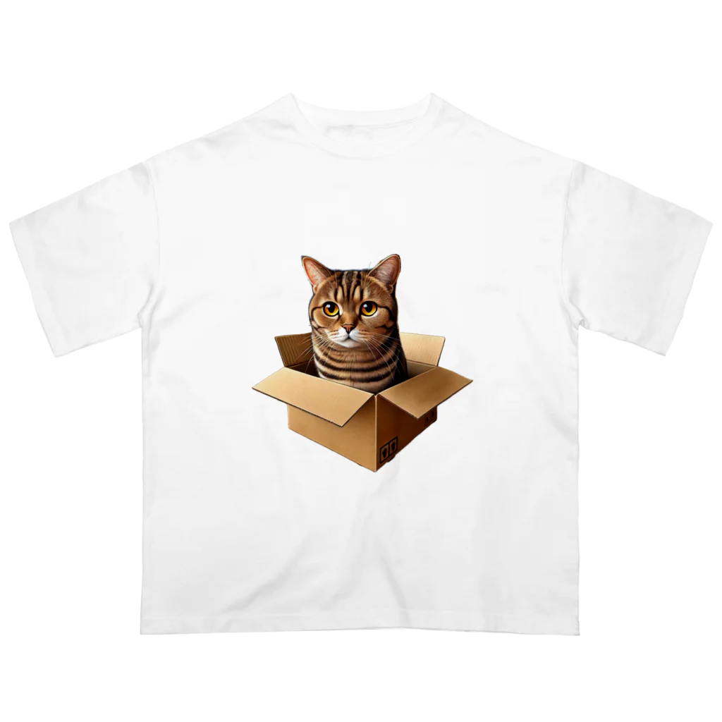 猫の小梅お嬢さんの小梅ちゃん　箱猫 Oversized T-Shirt