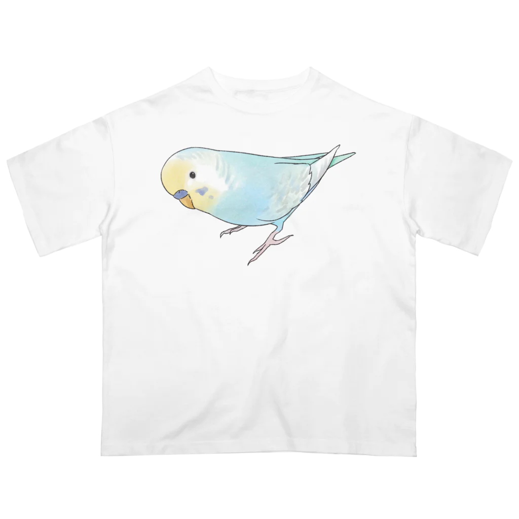 まめるりはことりのレインボーなセキセイインコちゃん【まめるりはことり】 オーバーサイズTシャツ