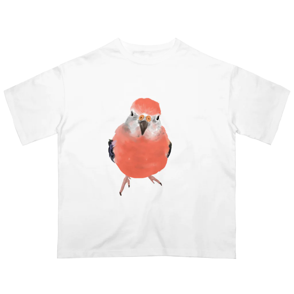 アキクサインコとウロコインコのアキクサインコ Oversized T-Shirt