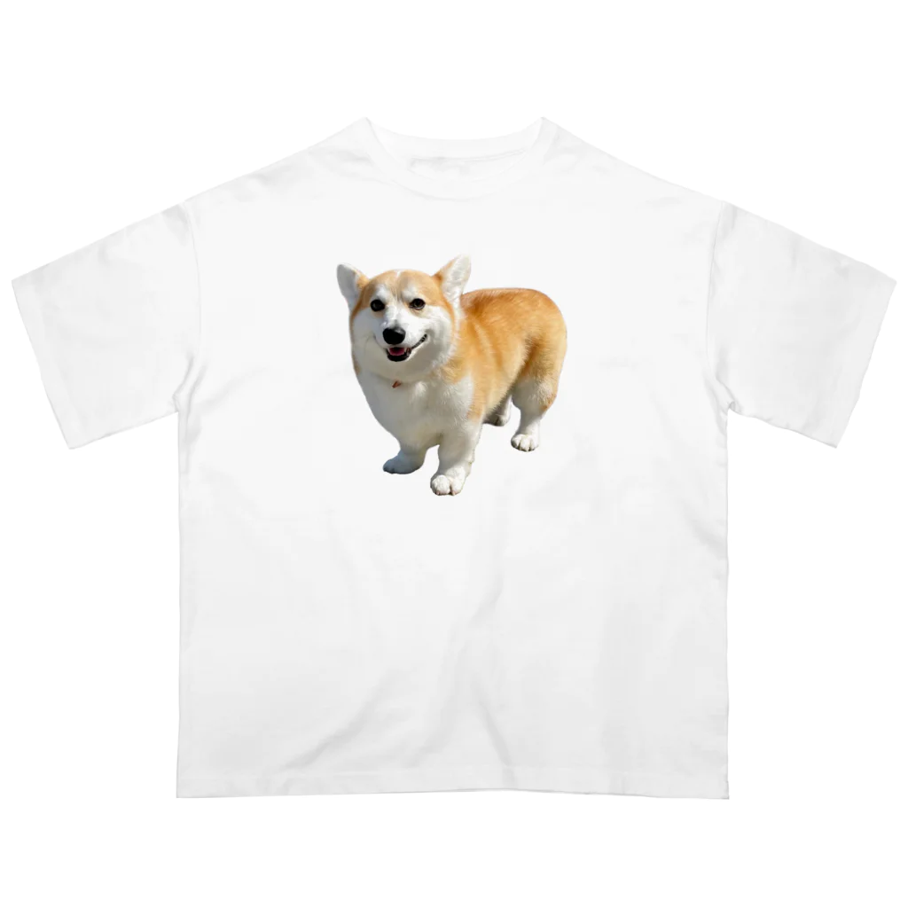 ガブちゃんのふかふか オーバーサイズTシャツ