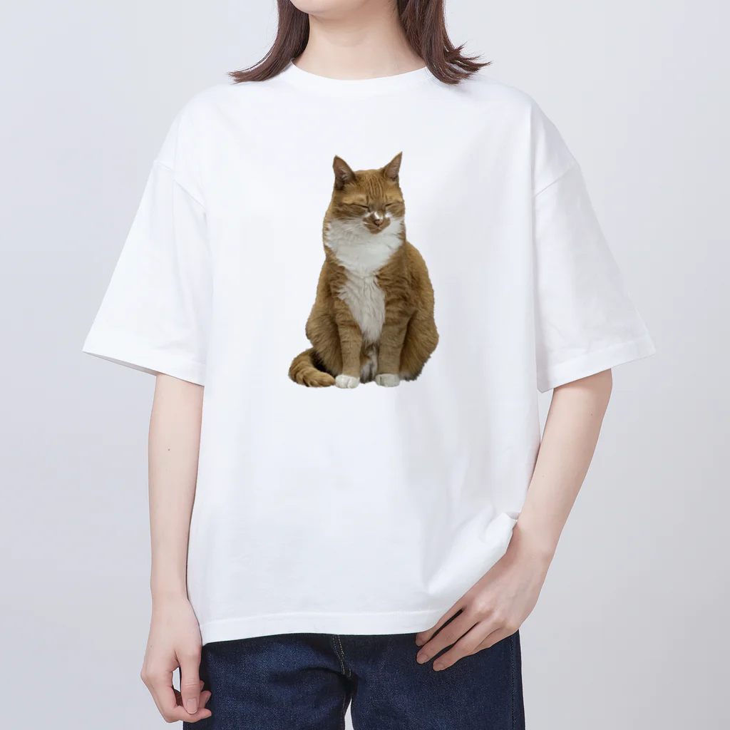 ぼくのねこのぼくのねこ オーバーサイズTシャツ