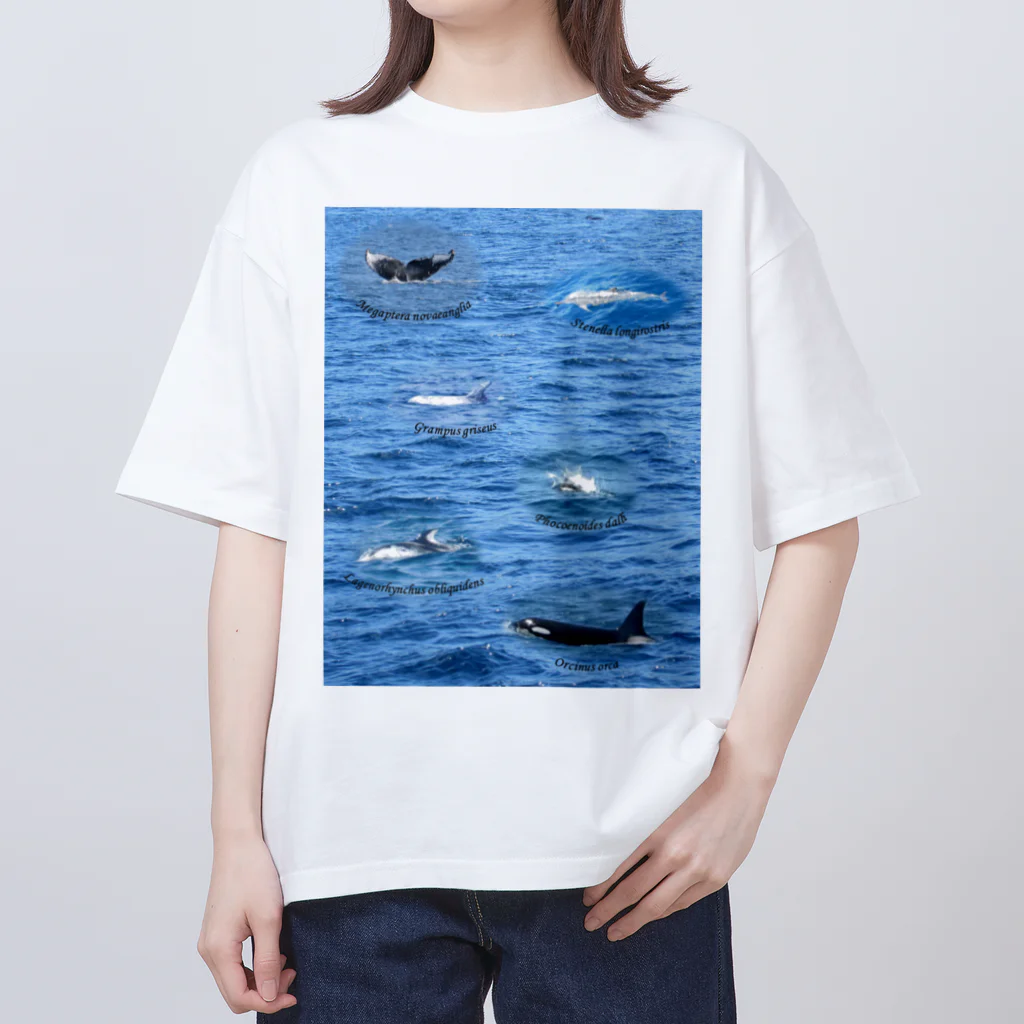 L_arctoaの船上から見た鯨類(1) オーバーサイズTシャツ