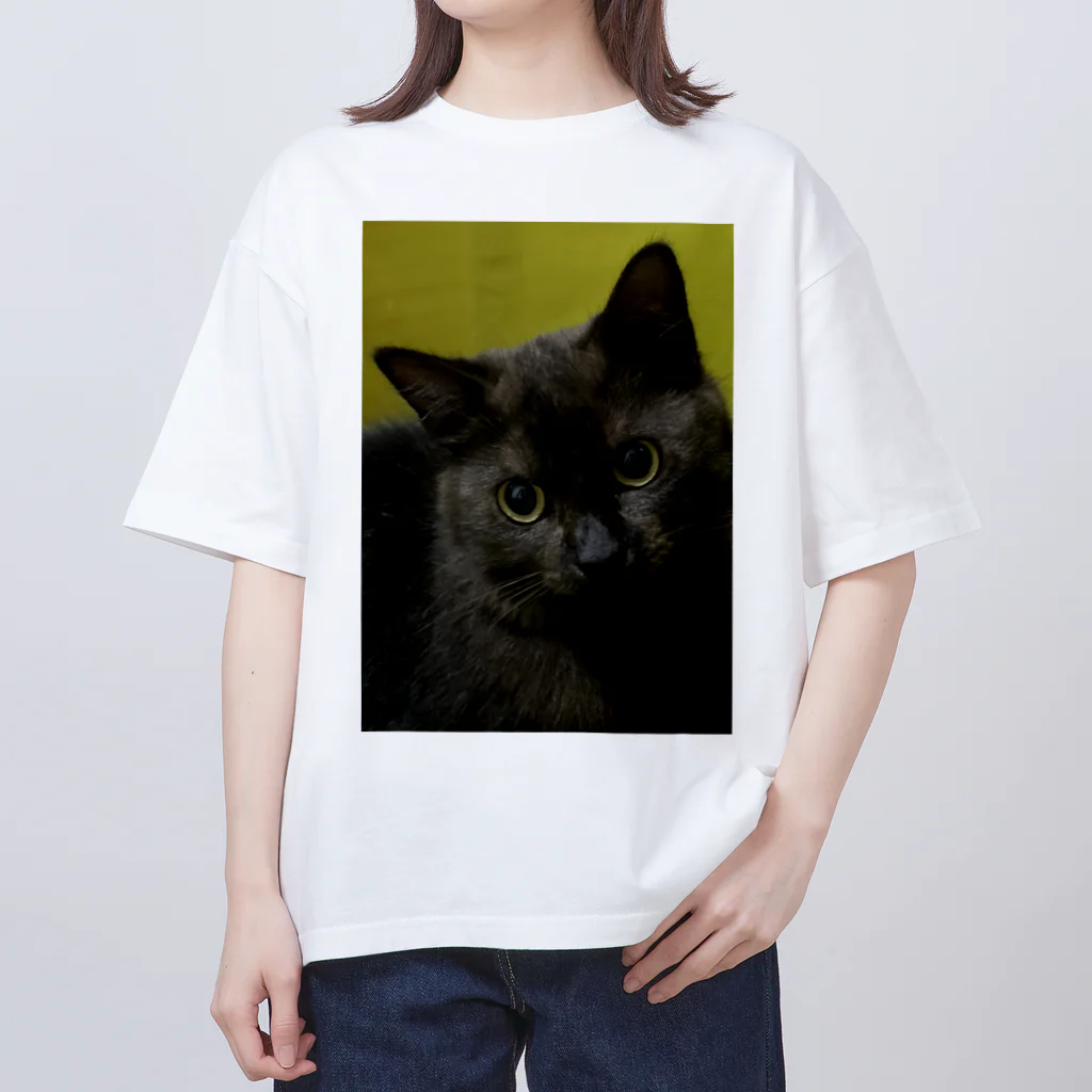 Cathouse Corp.のCathouse 3tee オーバーサイズTシャツ