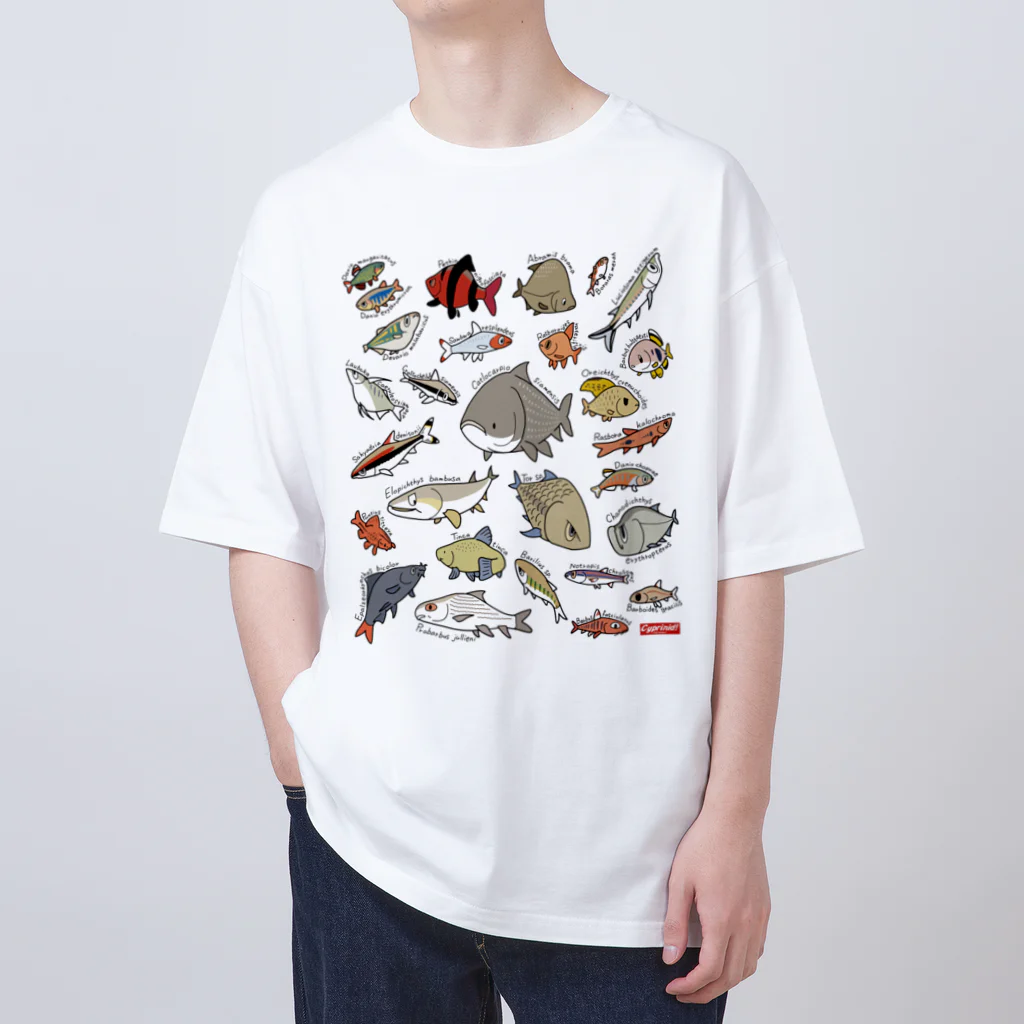 幻想水系branch　byいずもり・ようのVery Cyprinids!（international) Oversized T-Shirt