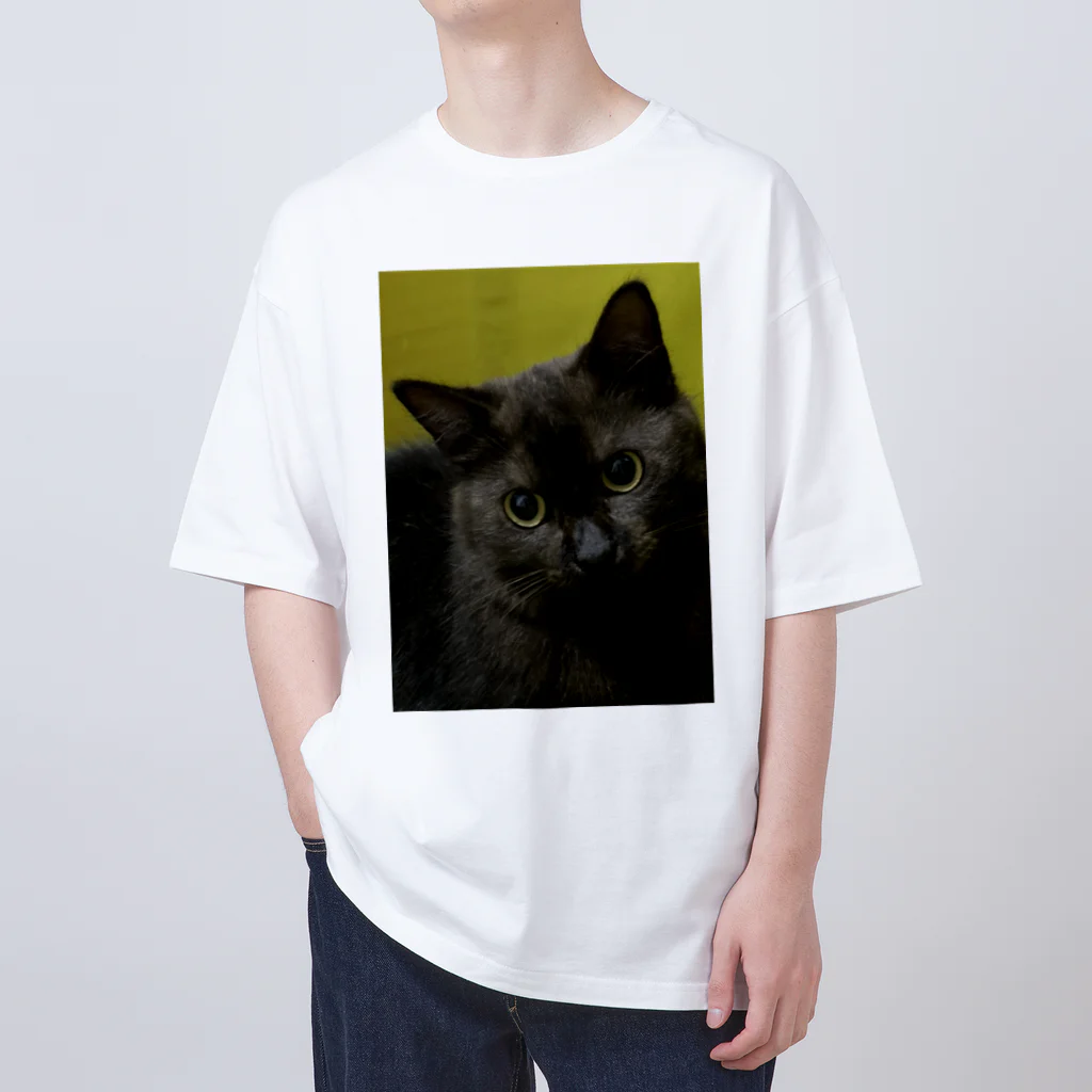 Cathouse Corp.のCathouse 3tee オーバーサイズTシャツ