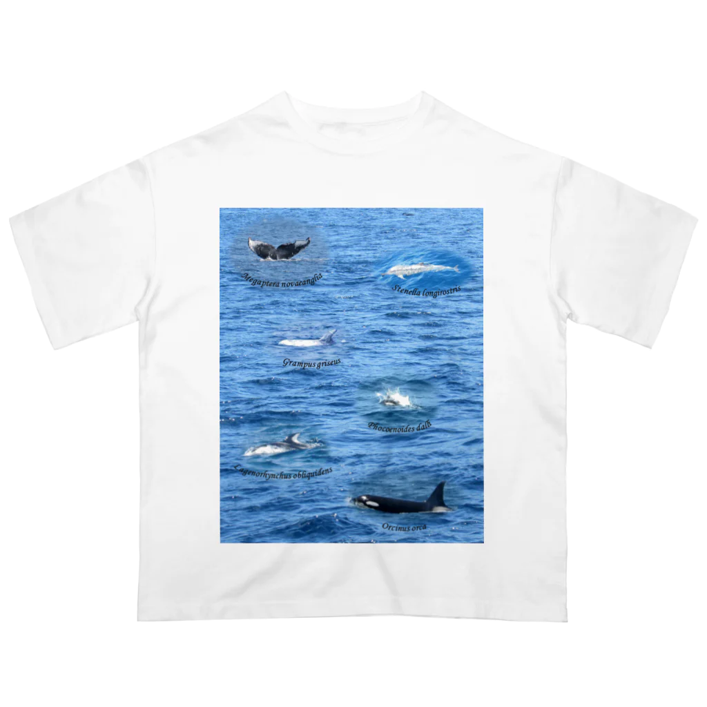 L_arctoaの船上から見た鯨類(1) オーバーサイズTシャツ